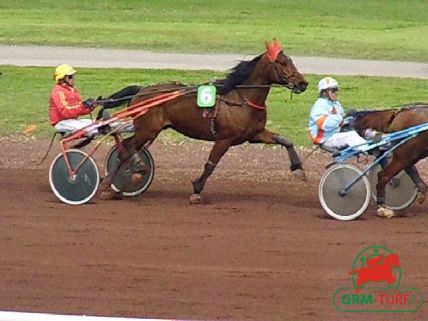 Hippodrome de trot