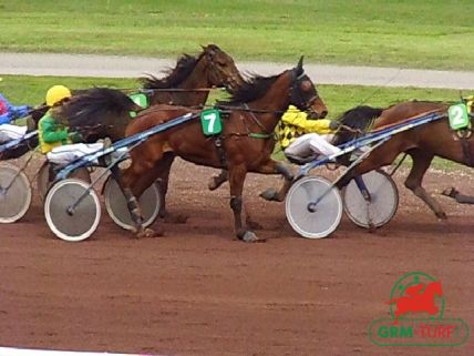 Le gagnant du quinté