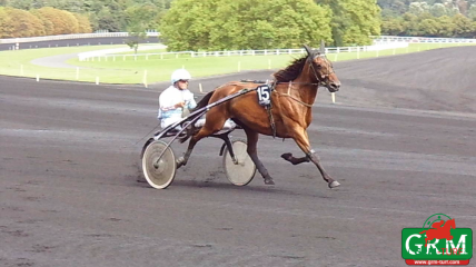 Reine Hélène à Vincennes