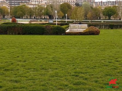 Quinté à Auteuil