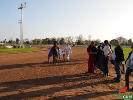 Le trotteur Pascia Lest