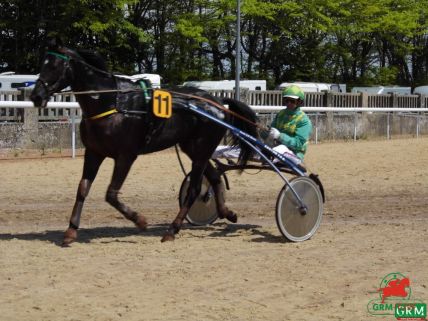 Alsonn de Guez (Jean-Michel Bazire)