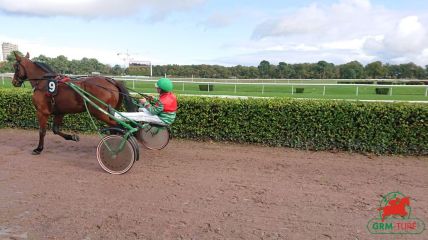 Quinté de trot