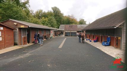 Quinté à Fontainebleau