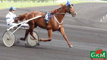 Renardo Bello à Vincennes