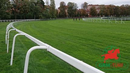 Cheval de course au galop