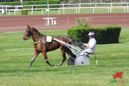 Quinté à Mauquenchy