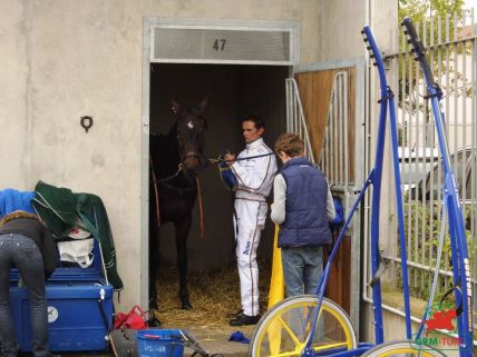 Le quinté , Hippodrome de Saint-Malo