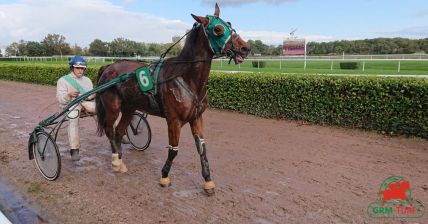 Hippodrome de trot