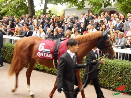 Le magnifique Orfevre