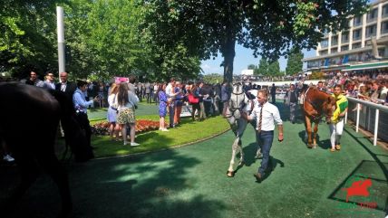 hippodrome d'Auteuil