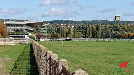 Arrivées et rapports quintés