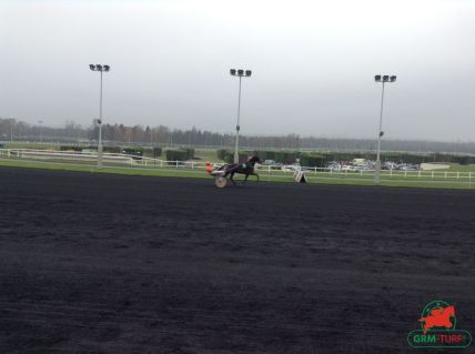 Courses à Vincennes