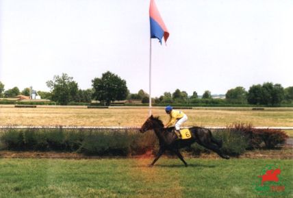 Le quinté sur l'hippodrome de Pau