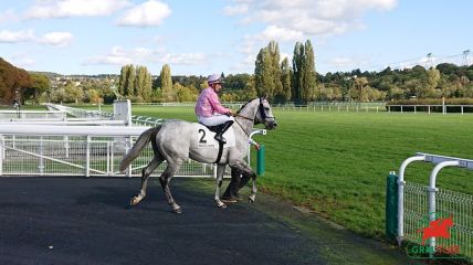 Tiercé-Quarté+-Quinté+ à Maisons-Laffitte