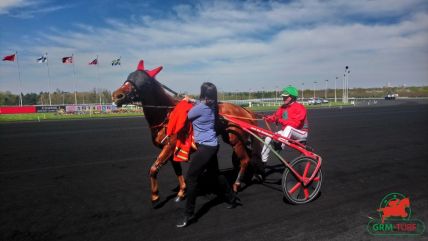 Quinté de Vincennes