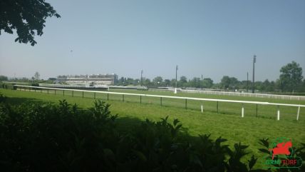 Courses et quinté à Auteuil