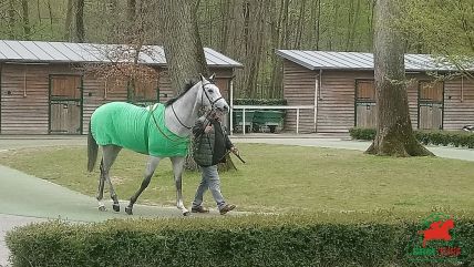 Le quinté , Hippodrome de Compiègne