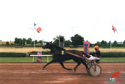 Quinté de trot