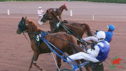 Le quinté , Hippodrome de Mauquenchy