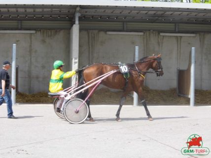 Quinté sur l'hippodrome d'Enghien