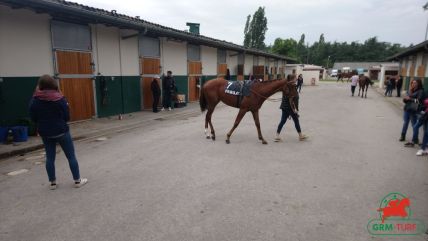 Courses à Lyon-Parilly