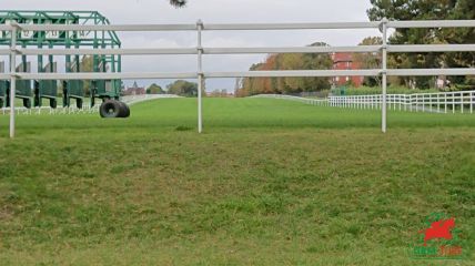 Courses et quinté à Saint-Cloud