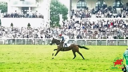 L'hippodrome d'Auteuil