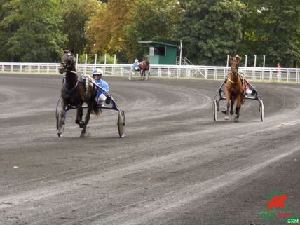 Trotteurs à Vincennes