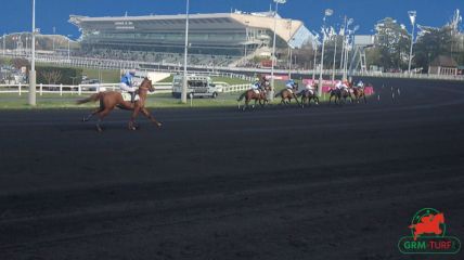 Trot monté à Vincennes