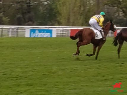 hippodrome d'Auteuil