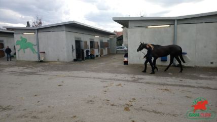 Hippodrome de Chantilly