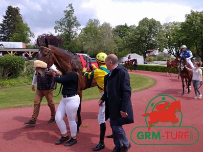 Cheval de course au galop