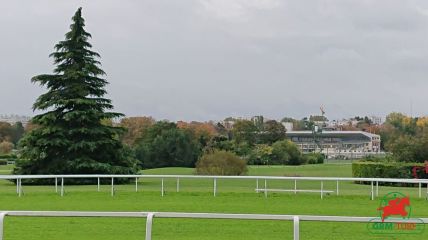 Courses et quinté à Saint-Cloud