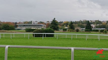 Courses et quinté à Saint-Cloud