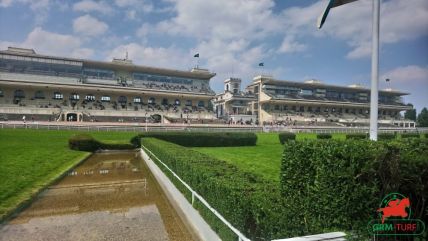 Tiercé-Quarté+-Quinté+ à Auteuil