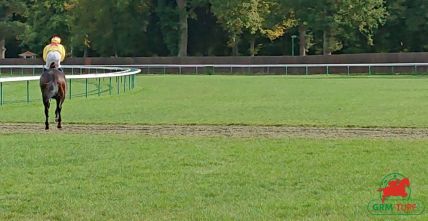 Hippodrome