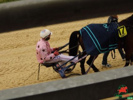 Le trotteur de Thierry Duvaldestin, SWEDISHMAN