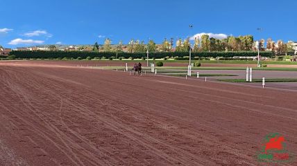 Quinté à Enghien