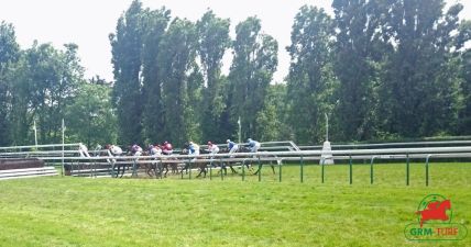 Courses et quinté à Auteuil