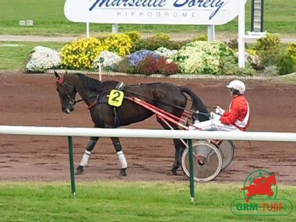 Grand National du Trot