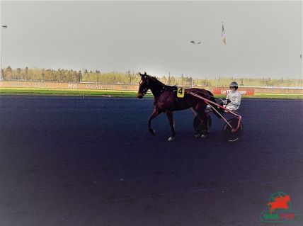 hippodrome de Vincennes courses