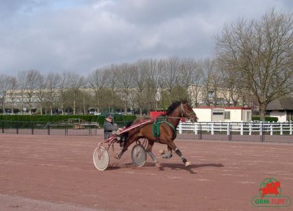 Quinté à Caen