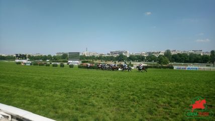 Tiercé-Quarté+-Quinté+ à Auteuil