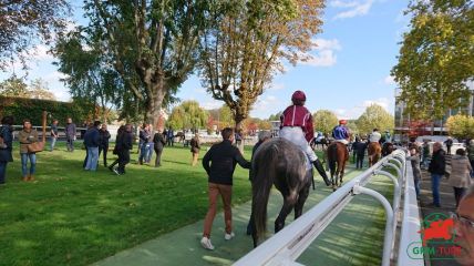 Le gagnant du quinté