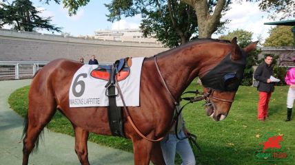 Outsider gagnant quinté