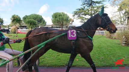 Courses et quinté à Angers