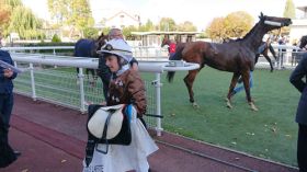 Tiercé en 4 chevaux