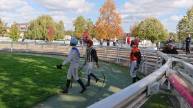 Turbo Prono le seul à vous donner le quinté de samedi !