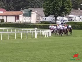 Notre pronostic était le seul à vous donner le tiercé en 4 et le quinté+